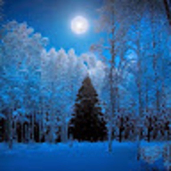 Meet your Posher, Annick - Picture 1 of 1